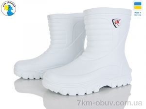 купить Jose Amorales 125154-7A оптом