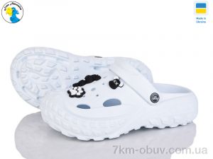 купить Jose Amorales 124501 оптом