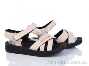 купить Baolikang 6928-2 оптом