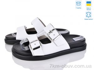 купить Ailinda 307-81 оптом