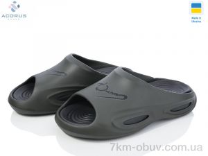 купить Acorus L135 зелений оптом