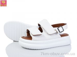 купить оптом PLPS 8816-3