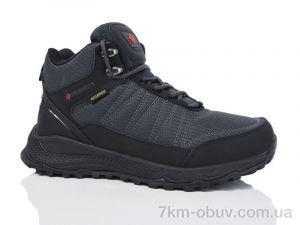 купить Boteli M367-2 оптом