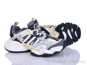 купить Olimp B0040-6 оптом