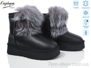 купить Dageni HAL5887-1 оптом