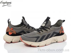 купить Dageni A2525-24 оптом
