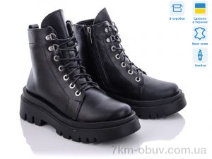 купить Stella 260-19 оптом