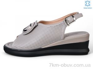 купить Kulada-UCSS-MD D2368-6 оптом