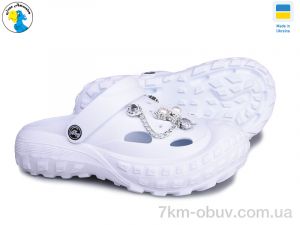 купить Jose Amorales 124500 оптом