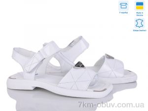 купить Fat Fox-Tamei 2509-18 б.ш. оптом