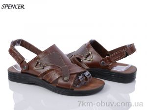 купить Spencer 751 brown оптом