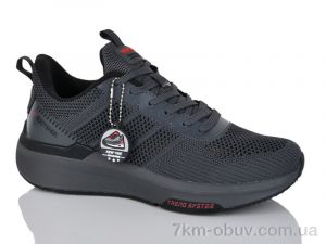купить Boteli A203-2 оптом