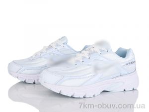 купить Olimp B401-11 оптом