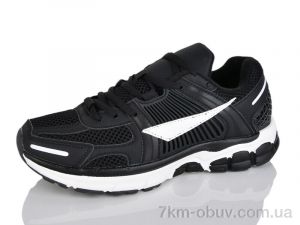 купить Moli B8029-3 оптом