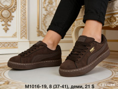 купить Dageni M1016-19 оптом