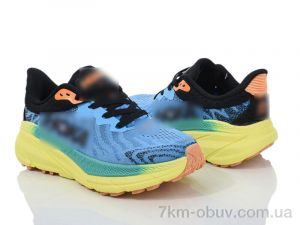 купить Violeta HD73 (1106)-6 blue-yellow оптом