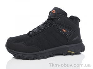купить Boteli M365-3 оптом