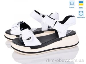 купить Stella 205-6 оптом