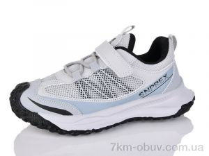 купить Alimama-Girnaive WY01-8C оптом
